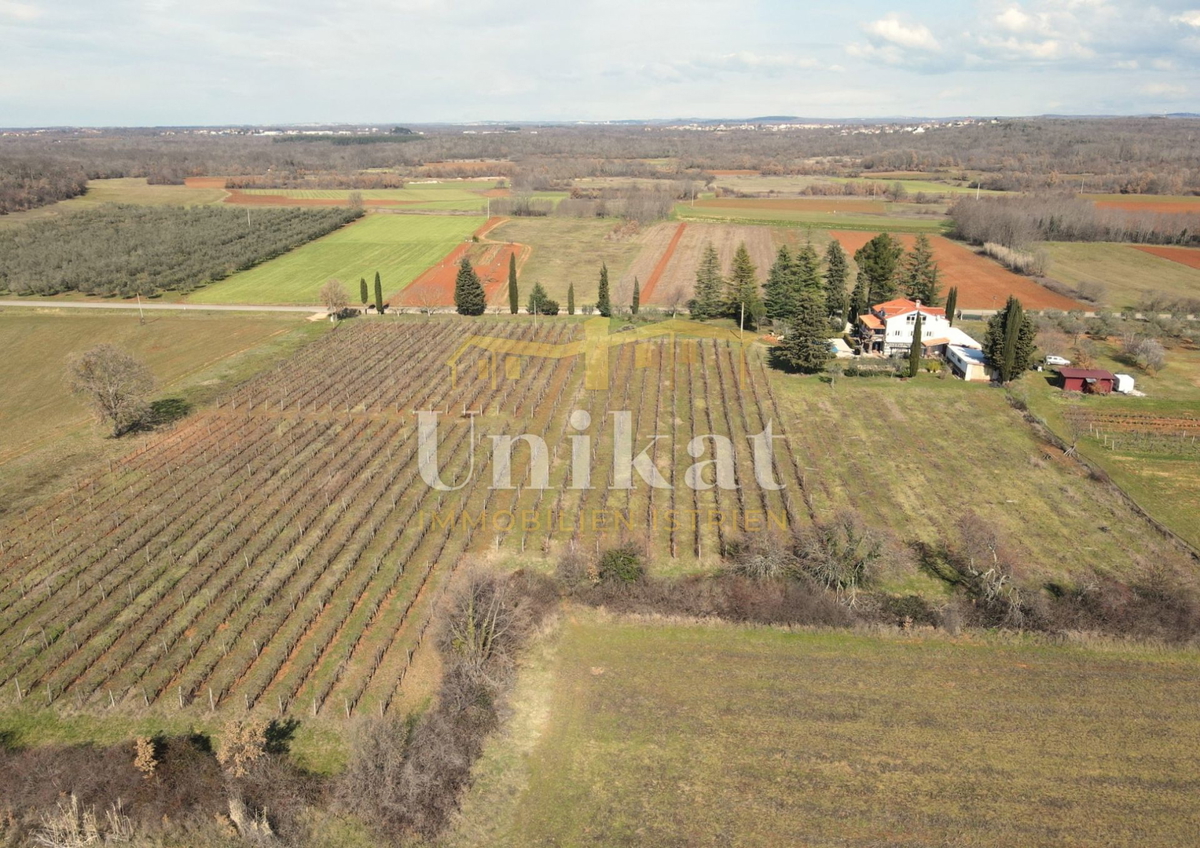 Proprietà esclusiva con molta privacy vicino a Poreč